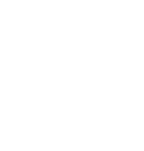 نظام صنفی رایانه‌ای